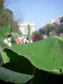 2010 05 24 jeanmarcperfetti.com 067.JPG